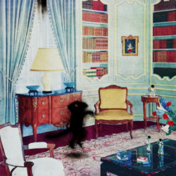 Salon-bibliothèque, série Mes Intérieurs