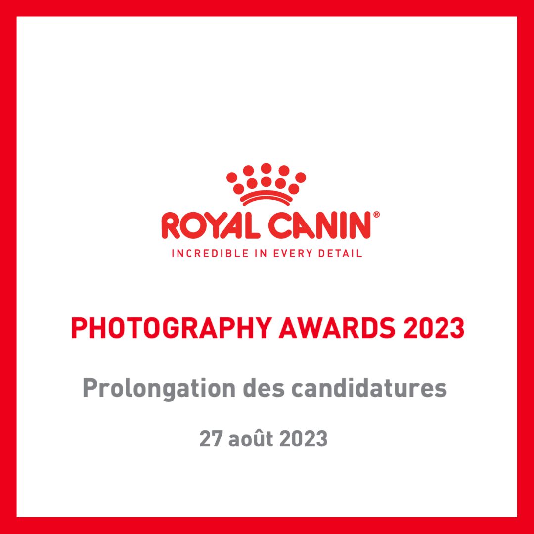 PROLONGATION DES CANDIDATURES – ROYAL CANIN® PHOTOGRAPHY AWARDS 2023