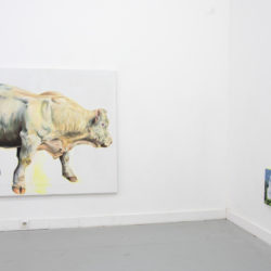 Le Charolais et la Pierre à sel