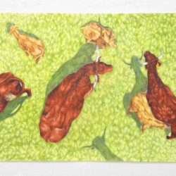 Écriture de vaches