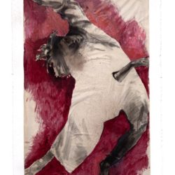 Danse sur la toile I